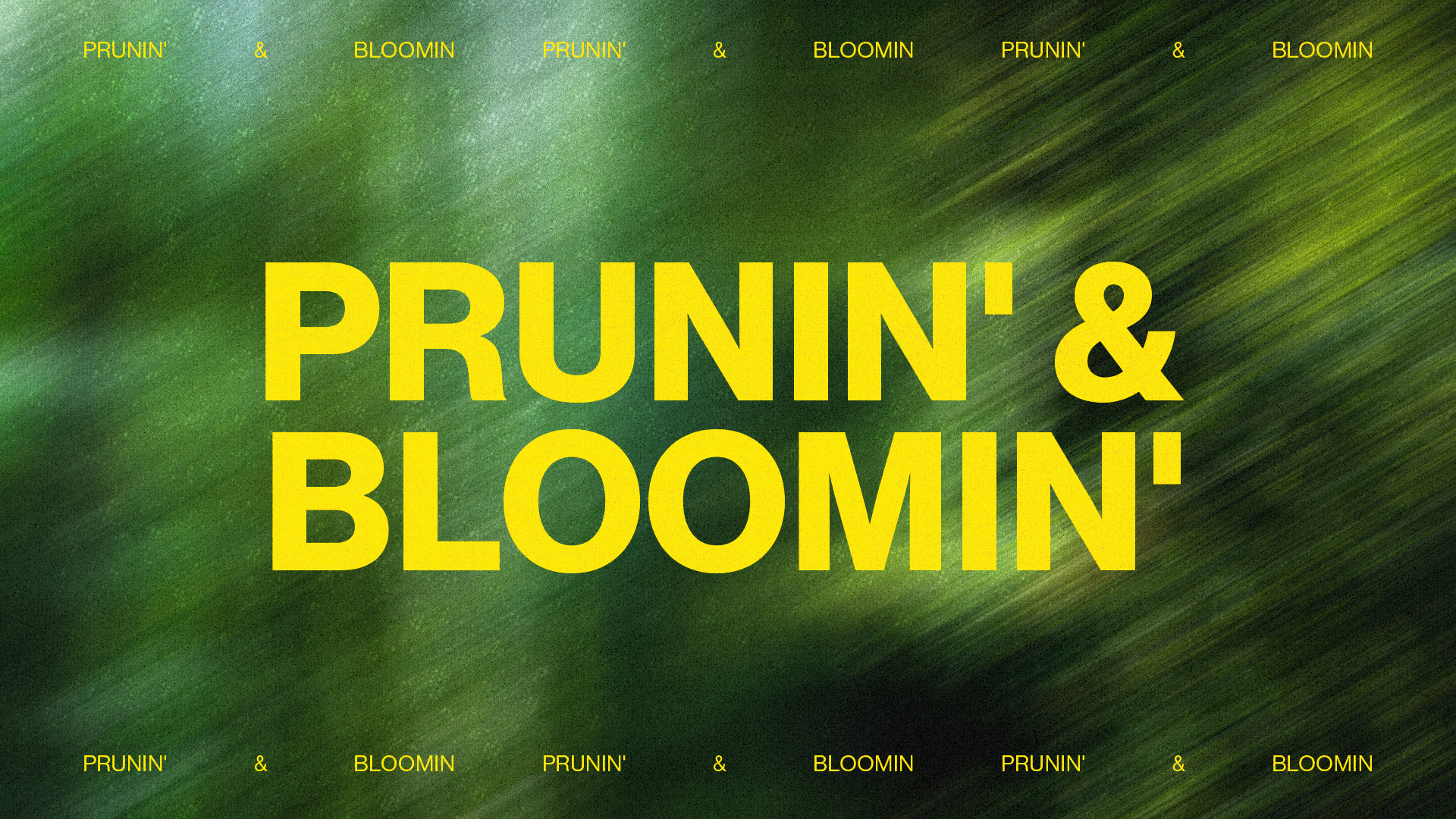 Prunin Bloomin Yth Series Sermon Series Finals High Definition Title Slide (x)