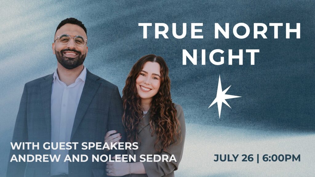 Web TNNightPromo v